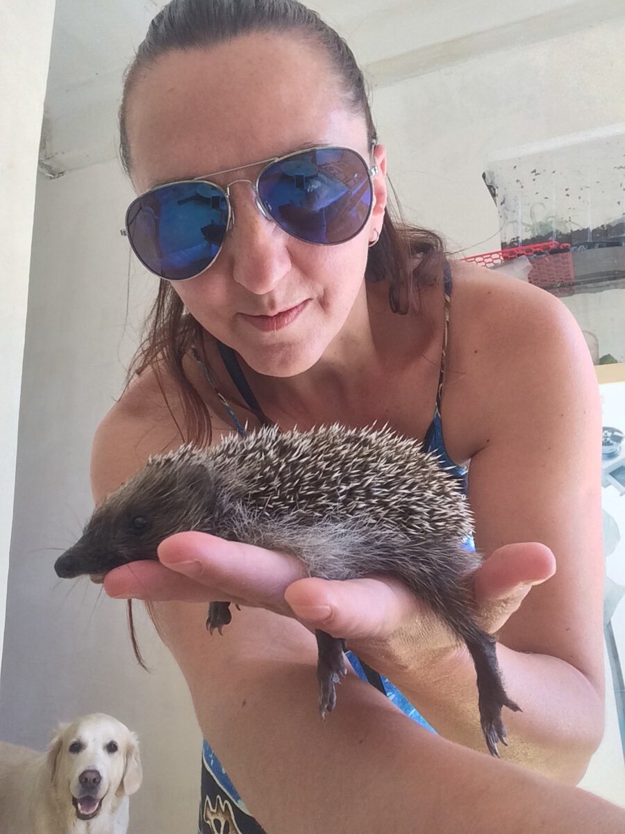 Каждый новый персонаж в твоей жизни - это ответственность. За тех, кого ты не приручишь, а лишь подержишь на ручках.