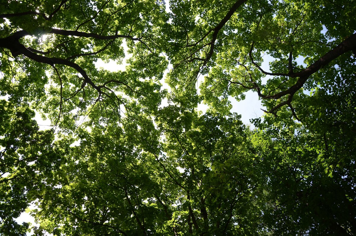 Фото из личного архива автора