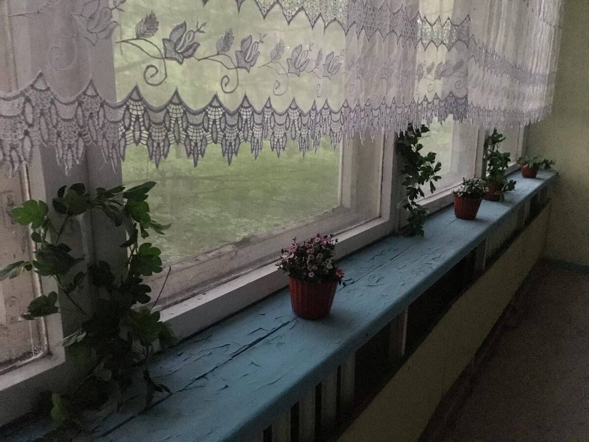 Результат уборки в садике Припяти