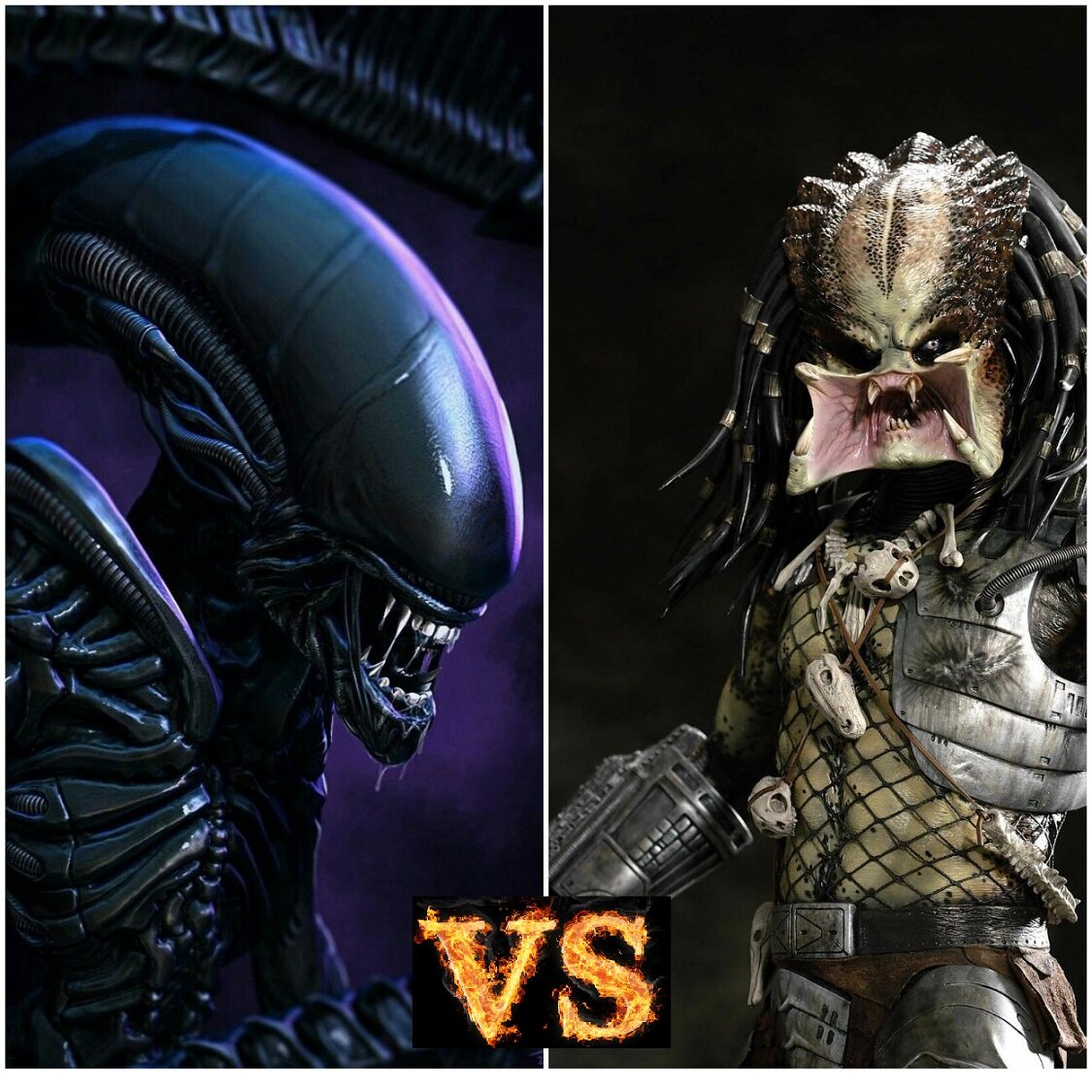 Ставьте лайки и подписывайтесь на канал! Так вы поможете развитию канала!