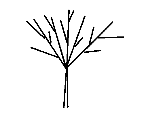 Крона метелкой, рис. 2