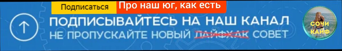 читаем на одном дыхании до конца, там про Абхазию