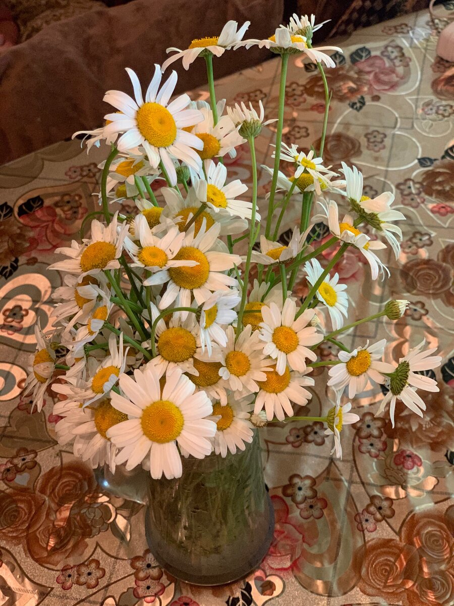 Доброе утро)