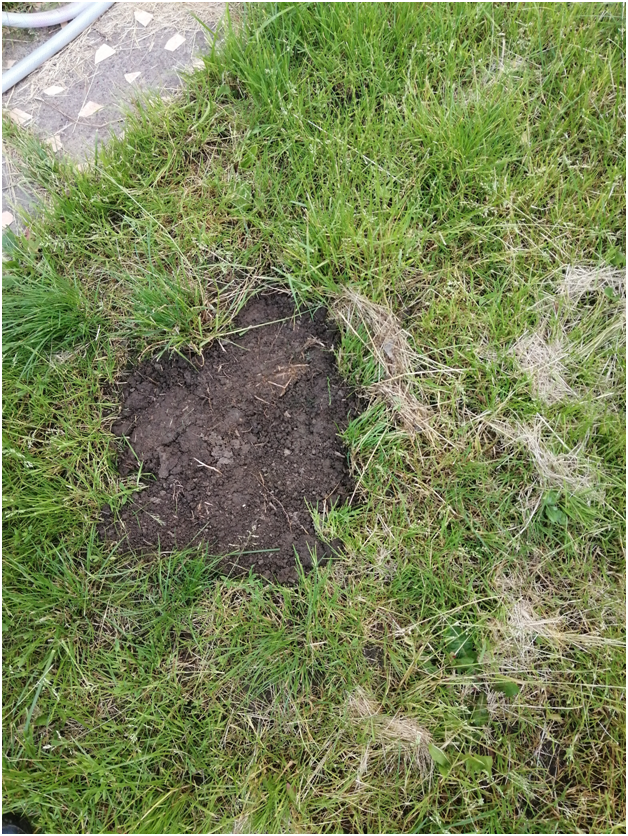 Заплатки на месте ущерба