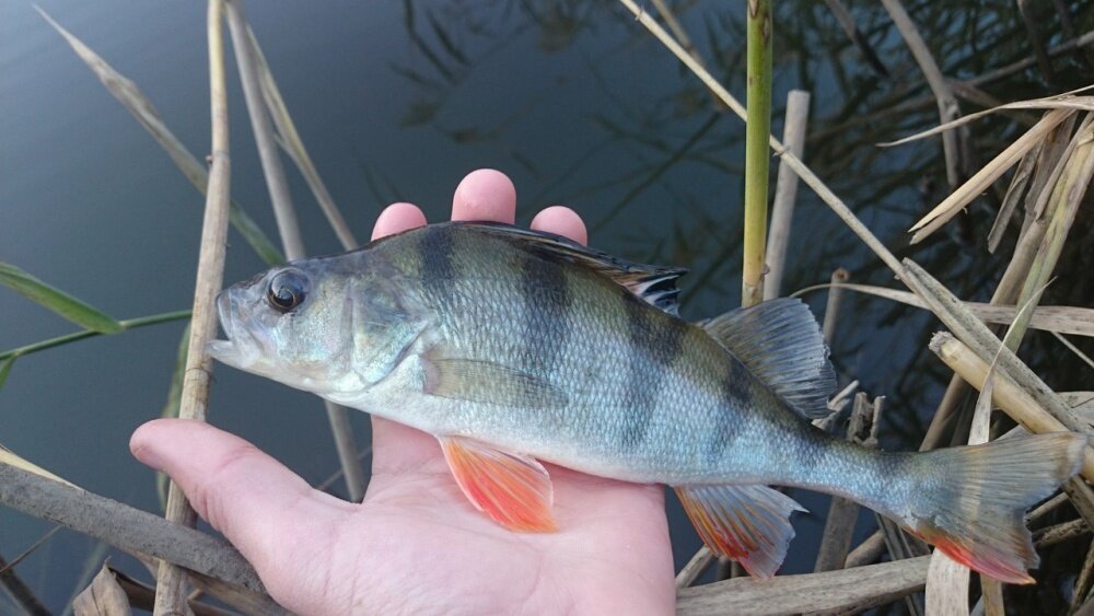 Фото для превью статьи
