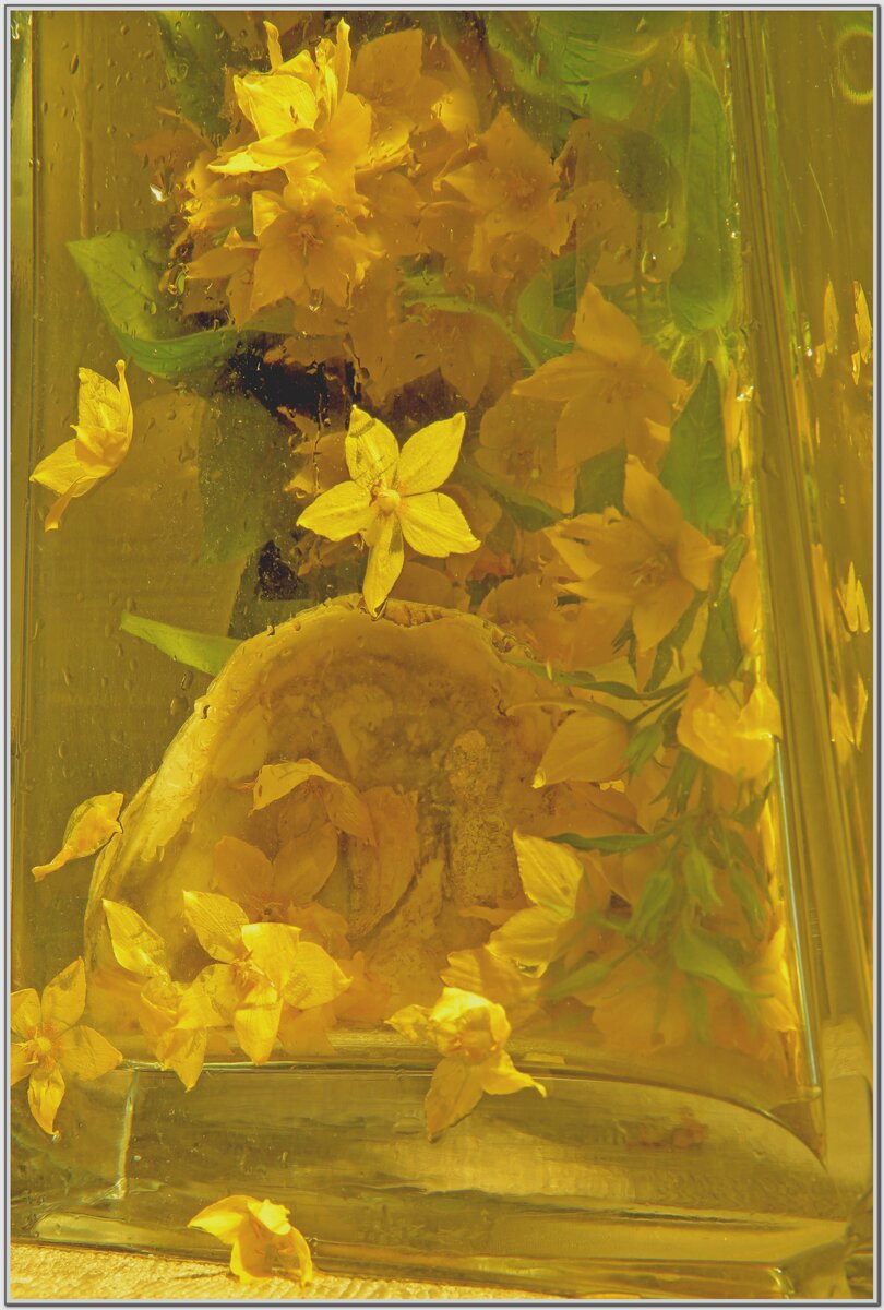 Фото сделано под впечатлением картин Ван Гога.