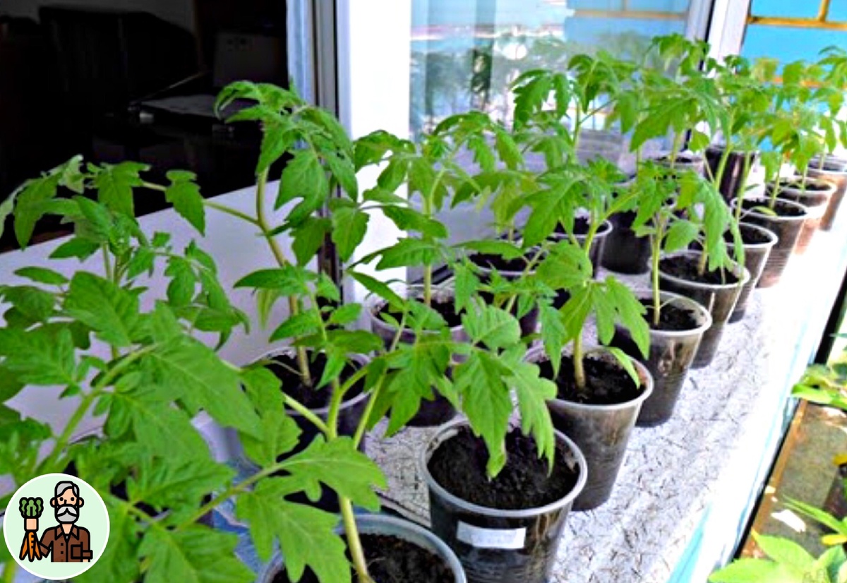 Чтобы поверить в этот способ – нужно просто взять и самим проверить!