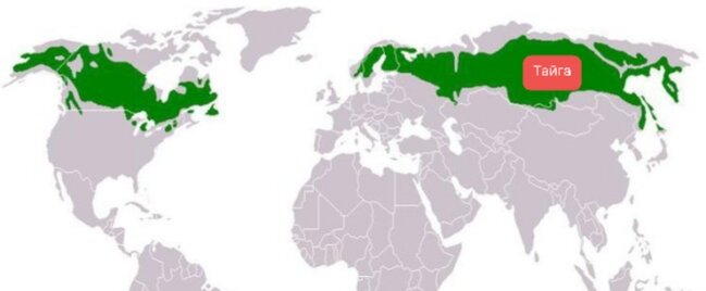 Северная тайга россии карта