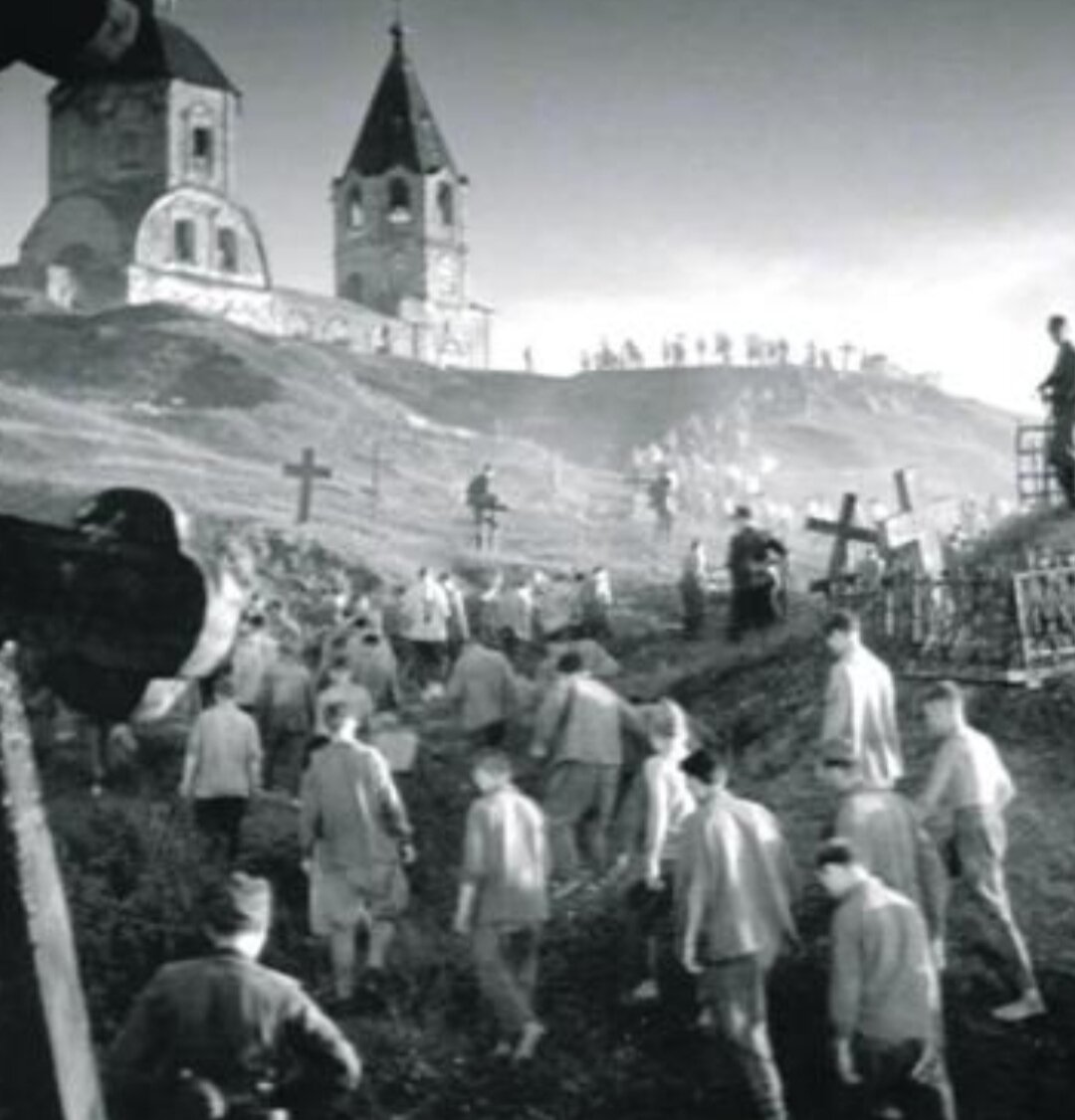 Фото с разрешенных источников