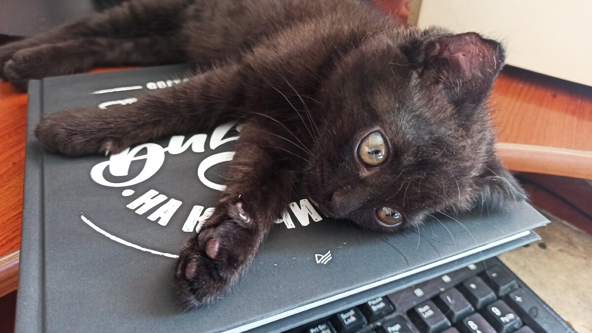 подписывайтесь на канал, и ставьте лайк