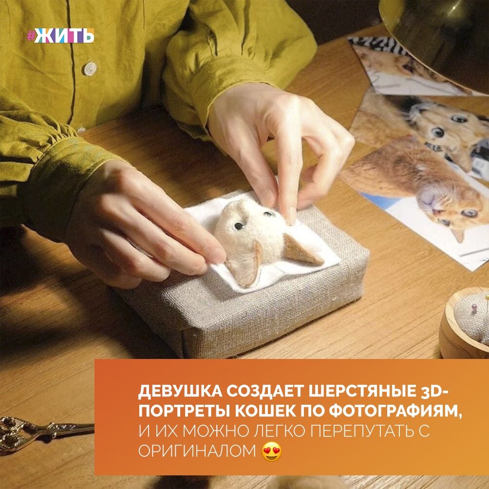 Любите ли вы кошек так, как эта девушка?☺ 
Потому что не любя вряд ли бы ей удавалось создавать такие потрясающие работы💓

При помощи шерсти и иголок для валяния, она создаёт очень реалистичные объёмные портреты кошек. Работа очень тонкая, а результат превосходит все ожидания😍

Даже немного жутко: кажется, они вот-вот оживут. Иногда она делает портреты реальных кошек, и от оригинала их не отличить☝

Хотели бы Вы своему питомцу такой портрет?🙌

#жить #проектжить
