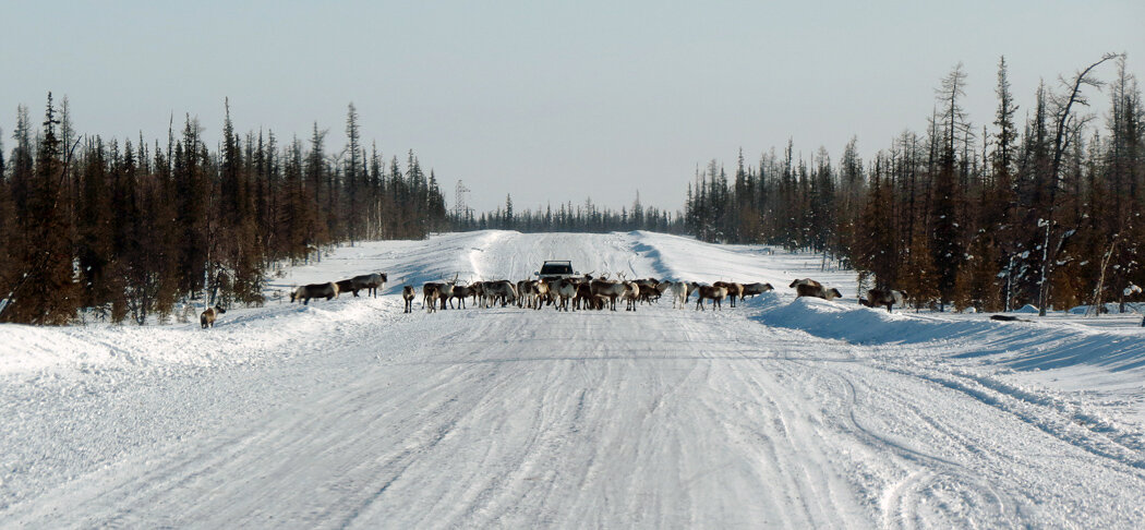 Томмот белькачи дорога. Катравож янао. Д зимник. Зимник стрежевой томск 2022. Д зимник.