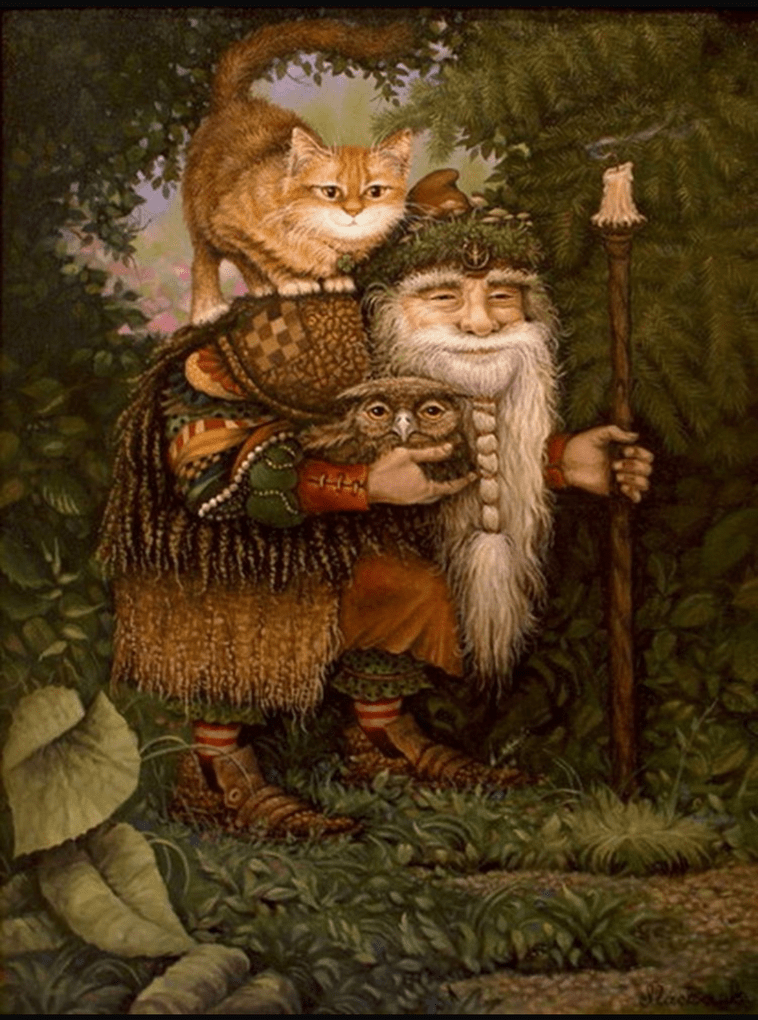 вокруг света