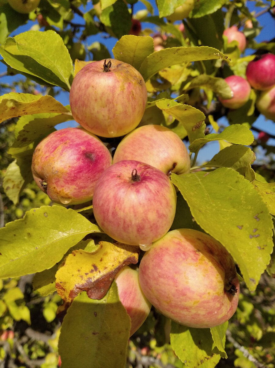 Фото из личного архива.