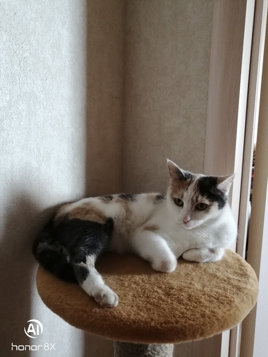 Личное фото. 