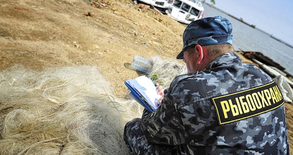 Инспектор рыбоохраны составляет протокол. Будьте внимательны —  #правила любительского рыболовства 