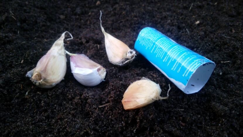 Трубочка-цилиндр из-под зубной пасты. Фото автора