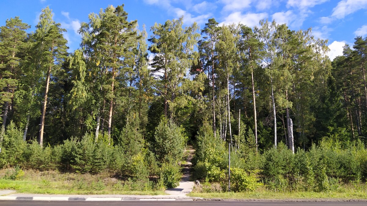 Тропинка-лестница идёт наверх. Среди верхушек деревьев проглядывает что-то красненькое.