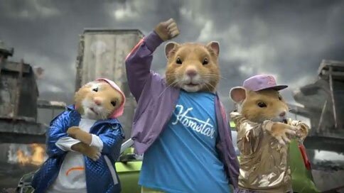 Хомяками называют новичков в трейдинге и инвестициях