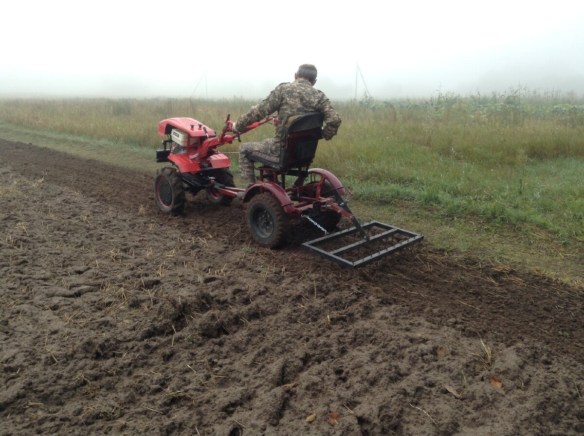 мой помощник