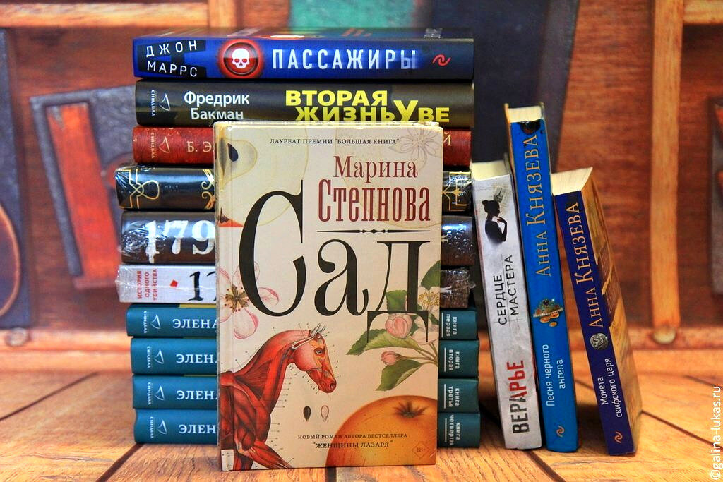 Степнова книги список. Сад Марина Степнова книга. Новая книга Марины. Фильмы по романам Марины Степновой. Книги Марины Коростелевой.