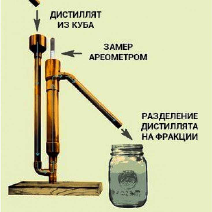 Принцип работы попугая