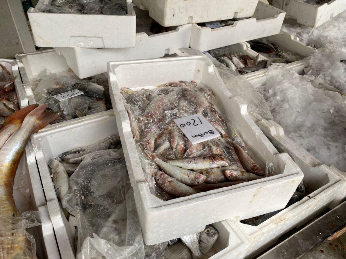 Рыбу засыпают льдом, чтобы она не испортилась