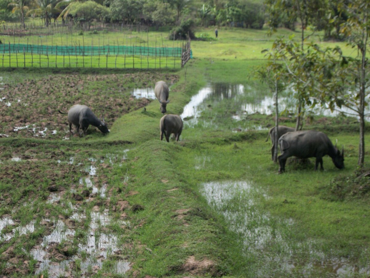 Листайте по стрелке!