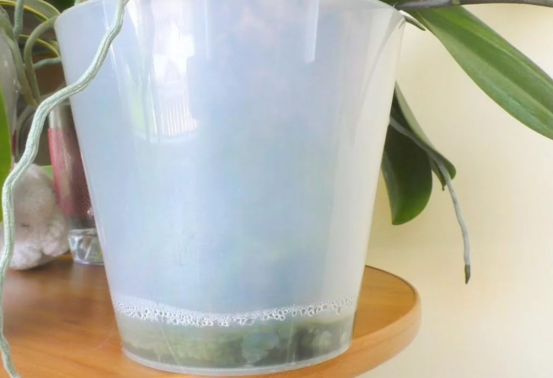 Метод мокрых пяток взято с Яндекс Картинок.