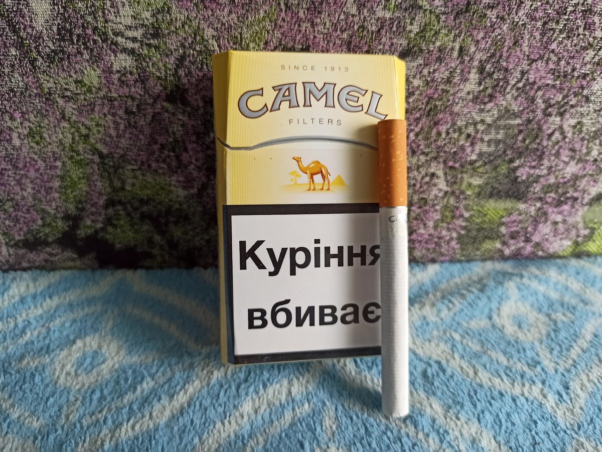 Camel Германия Макс Фрунзе