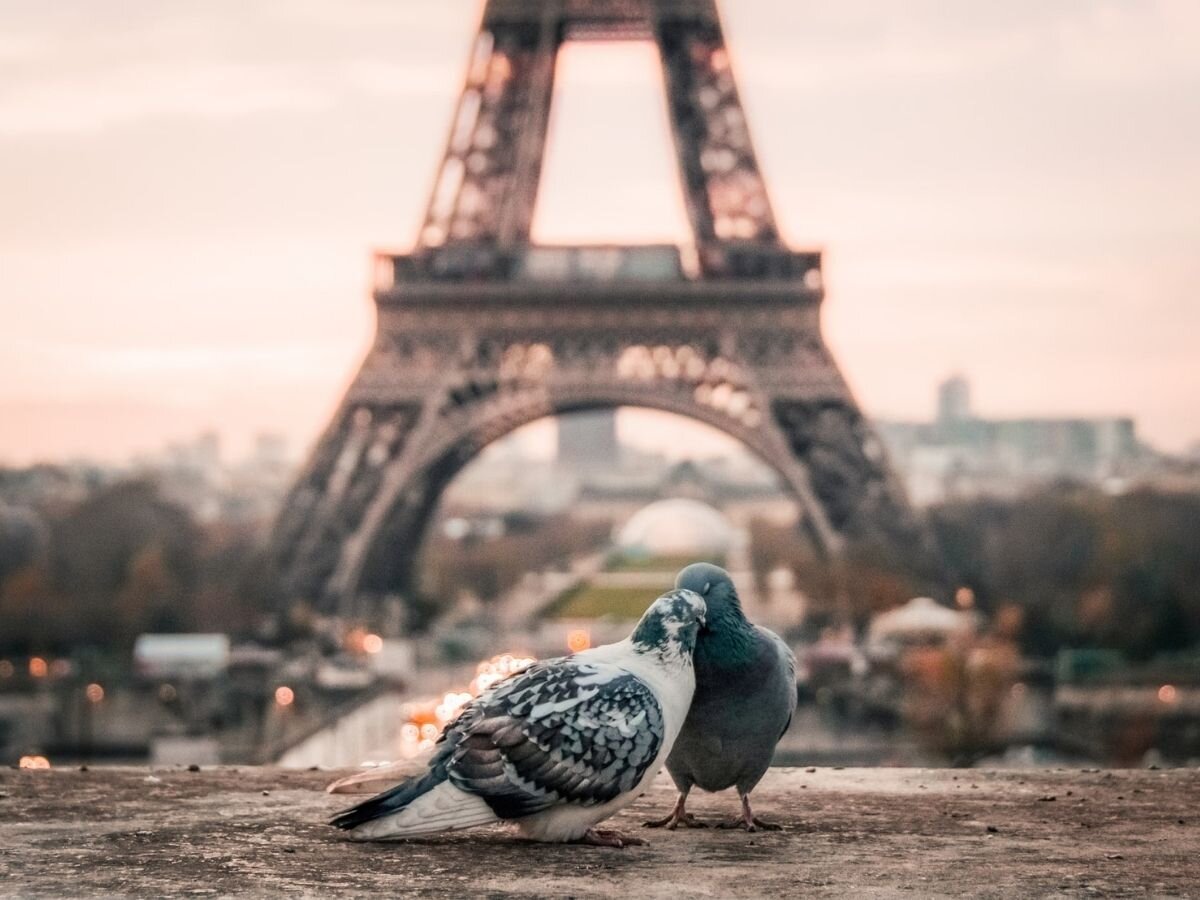 unsplash.com