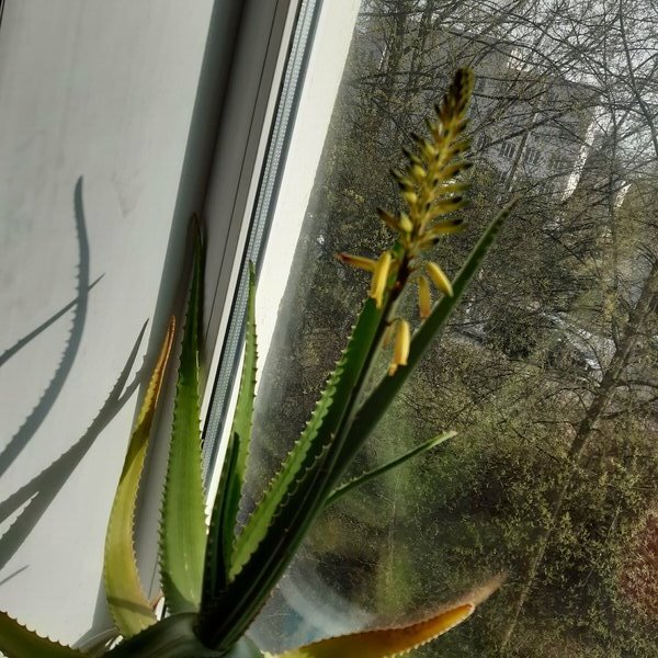 Личное фото