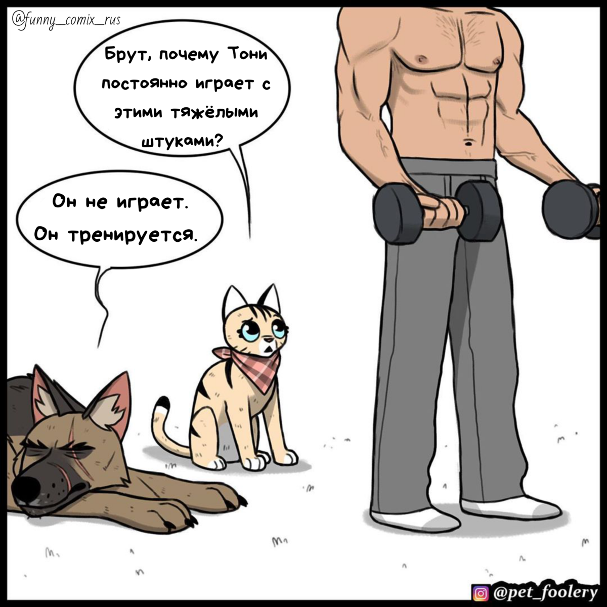 Источник: Instagram @funny_comix_rus 