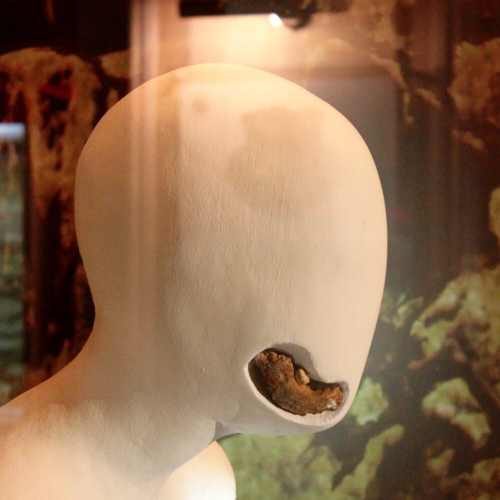 Экспонат Азербайджанского Музея истории