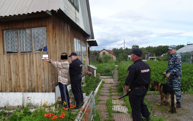 Уголовная ответственность наступает в случае наличия на садовом участке запрещенных растений в «крупном или особо крупном размере», т.е. в количестве, превышающем 10 штук (если для какого-то конкретного вида не указано другое минимальное количество). В противном случае, садоводу грозит только административная ответственность.