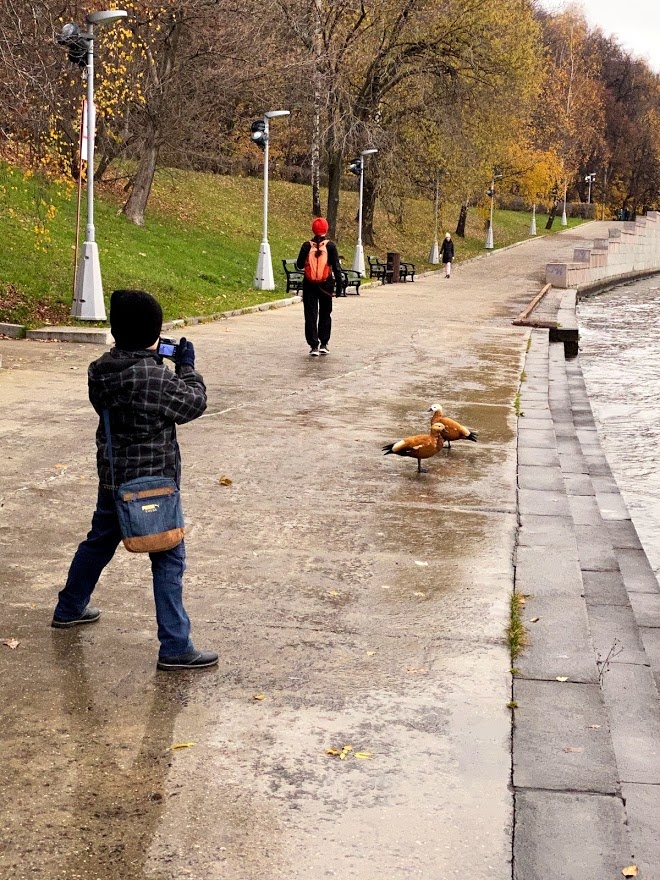 фото автора