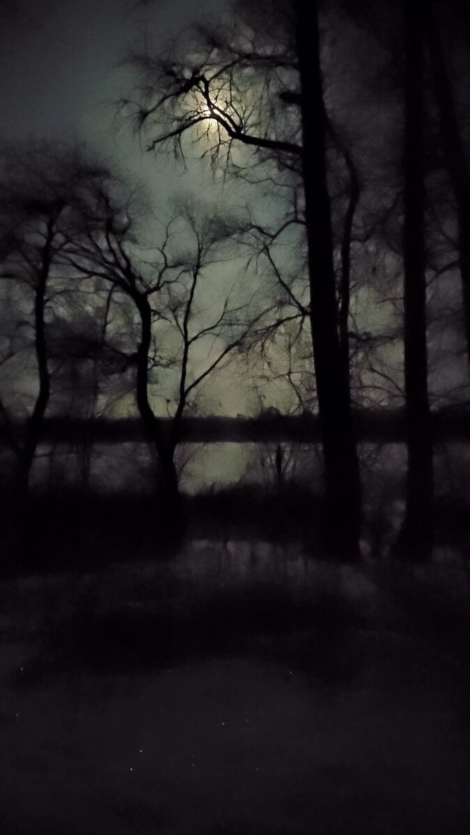 🌛ВЛИЯЕТ ЛИ ЛУНА НА ВЕС?

Удивительно, но ДА! 
Лунный цикл влияет на человеческий организм, да и на 
рост растений, в конце концов. 

🌝При ПОЛНОЛУНИИ на весах может быть прибавка в 1-2 кг. Это происходит за счет небольшой отёчности и пугаться веса не стоит.

🌛Луна УБЫВАЕТ, и в этот период убывают объёмы на талии и килограммы. 

❗Но не стоит винить луну, если каждый месяц на весах прибавляется по несколько килограммов. 
Может быть пора пересмотреть рацион питания?🍏