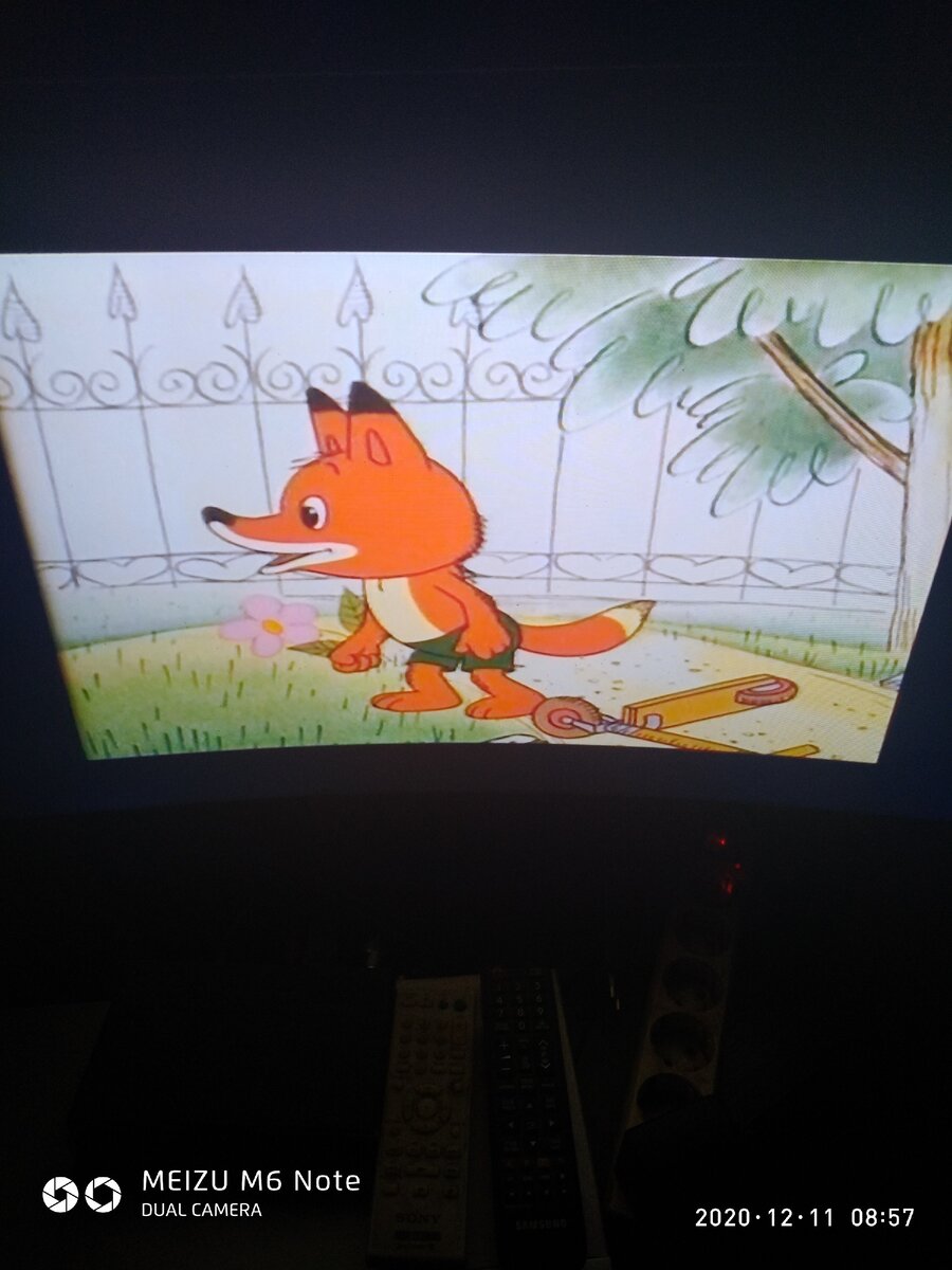 Мультик про енота  Йорк наш посмотрел,бабочку зимою увидет захотел...