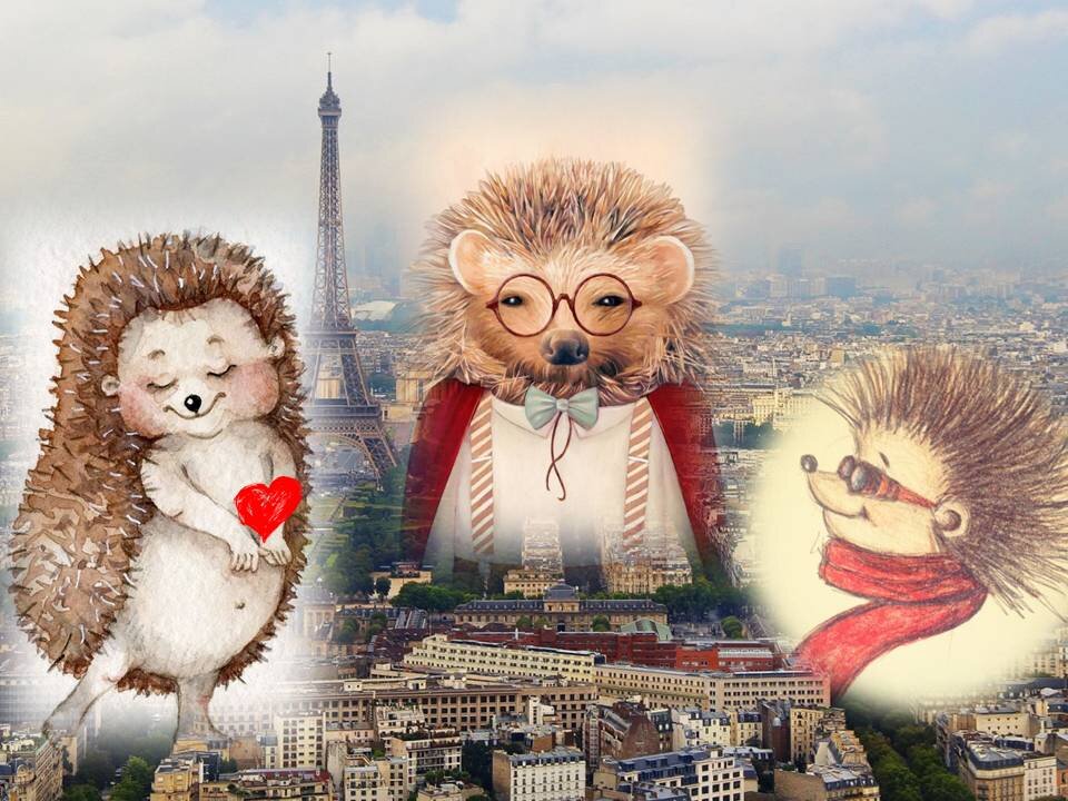 Элегантность ёжика мюриель. Бербери снятые с производства. Барбери элегантность ежика отзывы. Барбери мюриель "жизнь эльфов". Современные обложки книг.