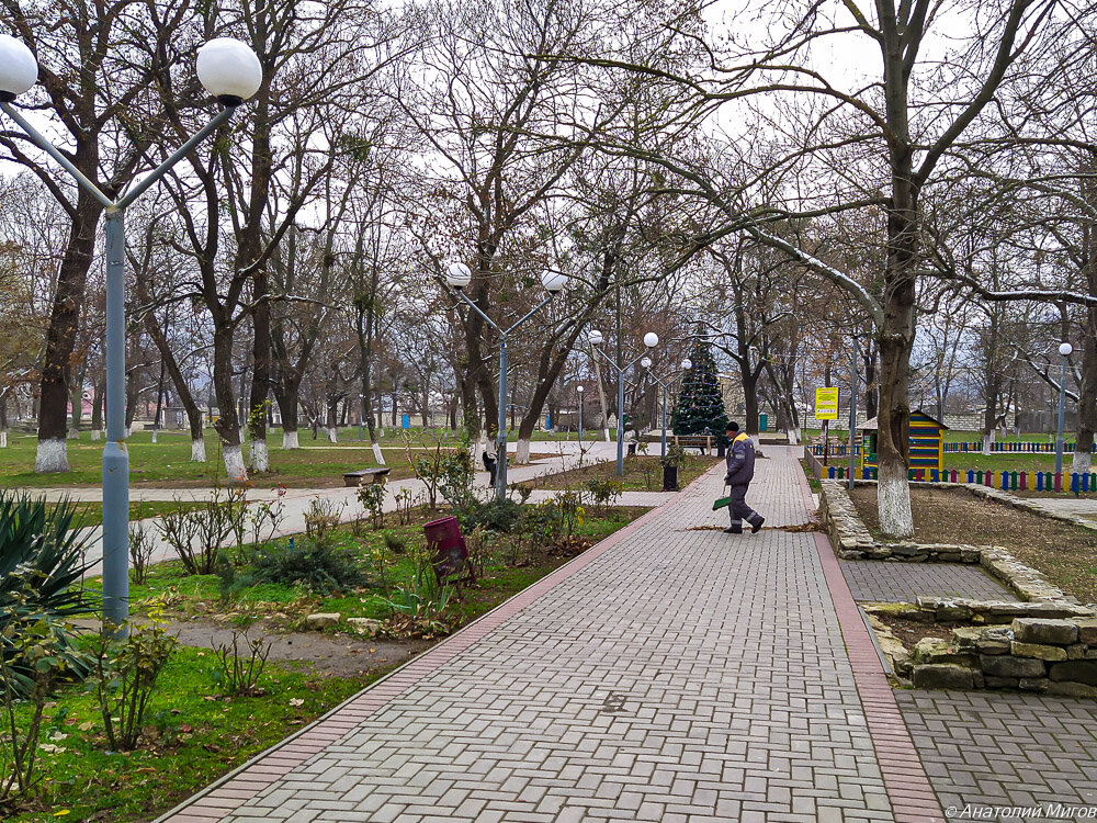 1. В городском парке.