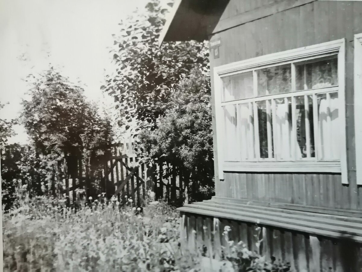 Наш дом. Фото из семейного архива