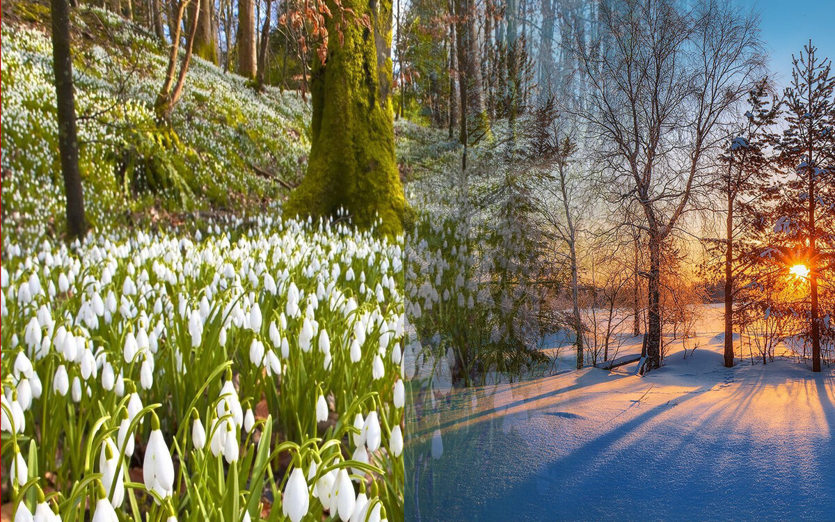 Праздник Громница, первая встреча