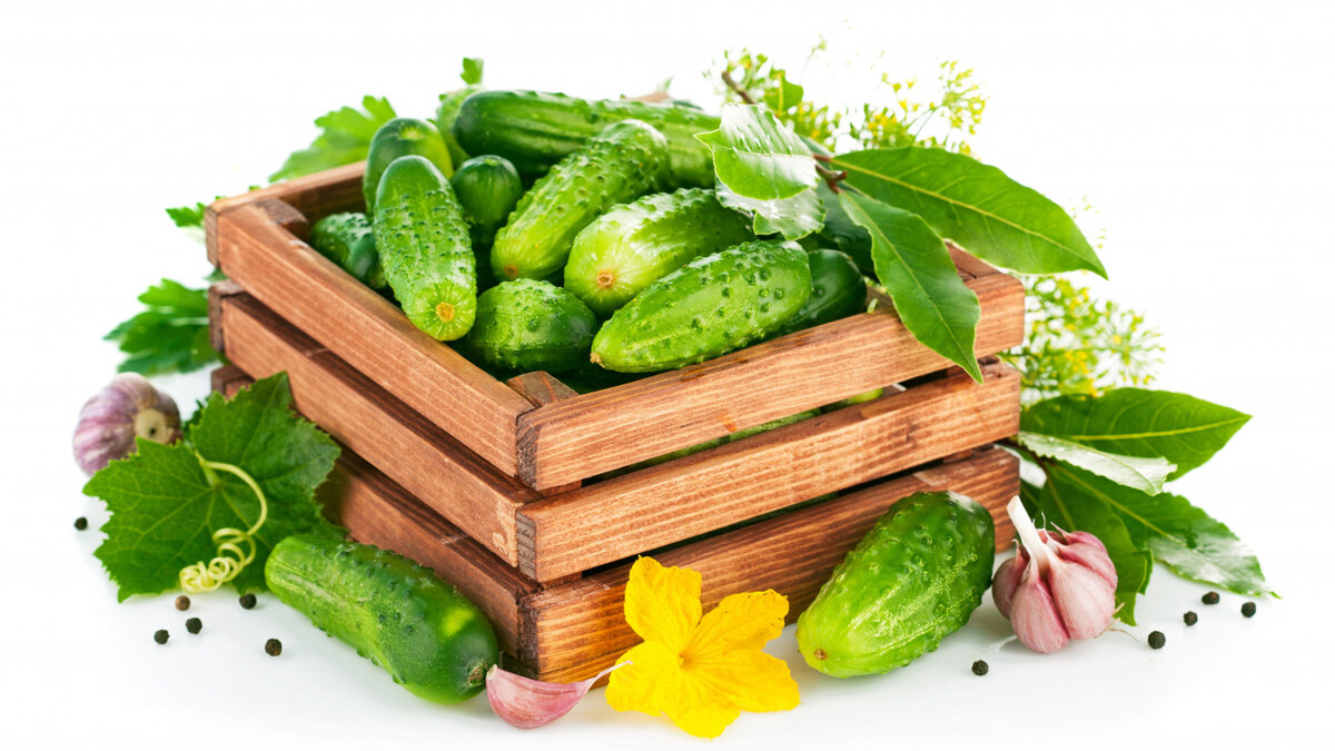 рисунок  с Яндекс.картинки