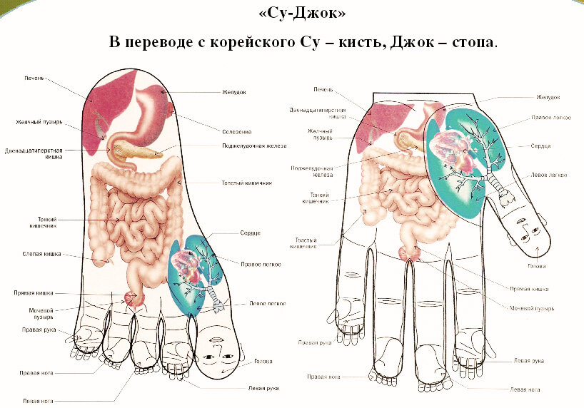 Последняя причина