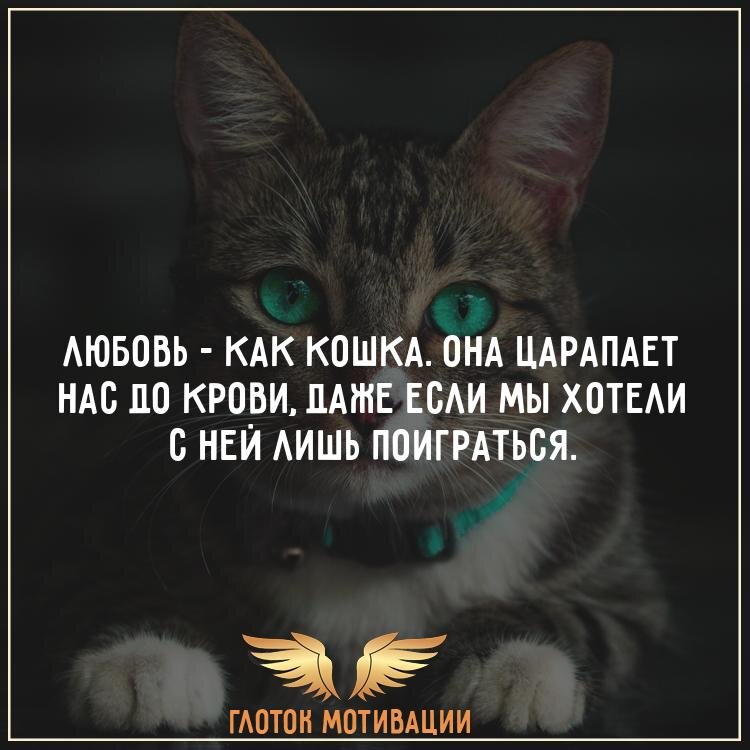 Цитаты о любви, которые перевернут ваш мир с ног на голову и заставят задуматься. | Валери | Дзен