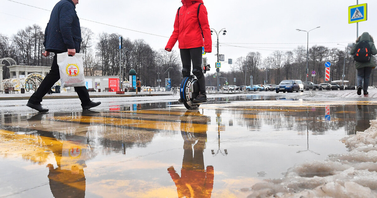 Фото взято из открытого источника