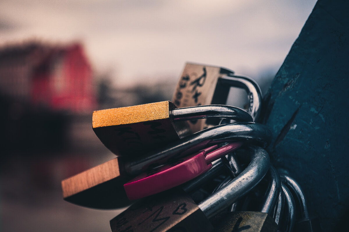 Фото автора Adrian Jozefowicz: Pexels
