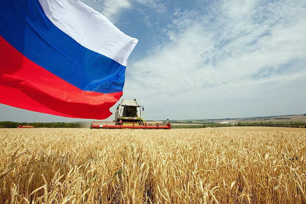 Фото взято из открытых источников