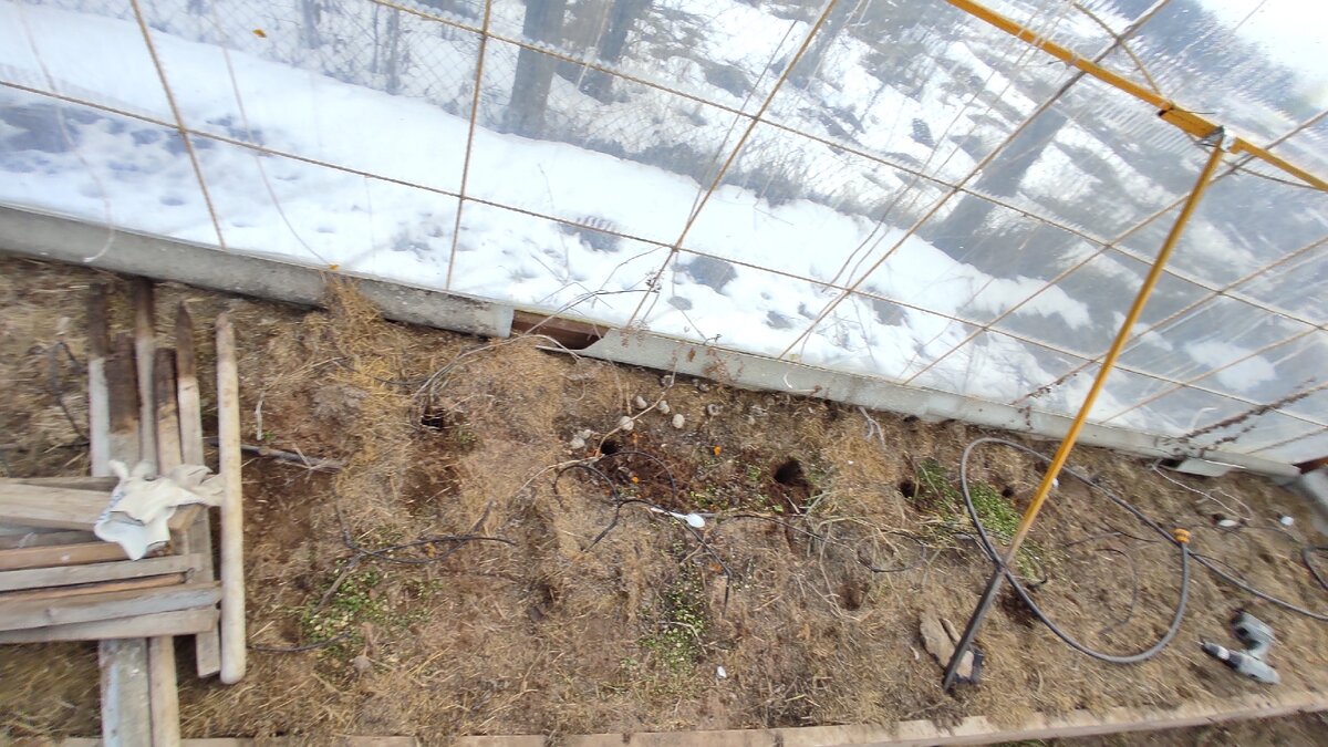 Грядка до подготовки