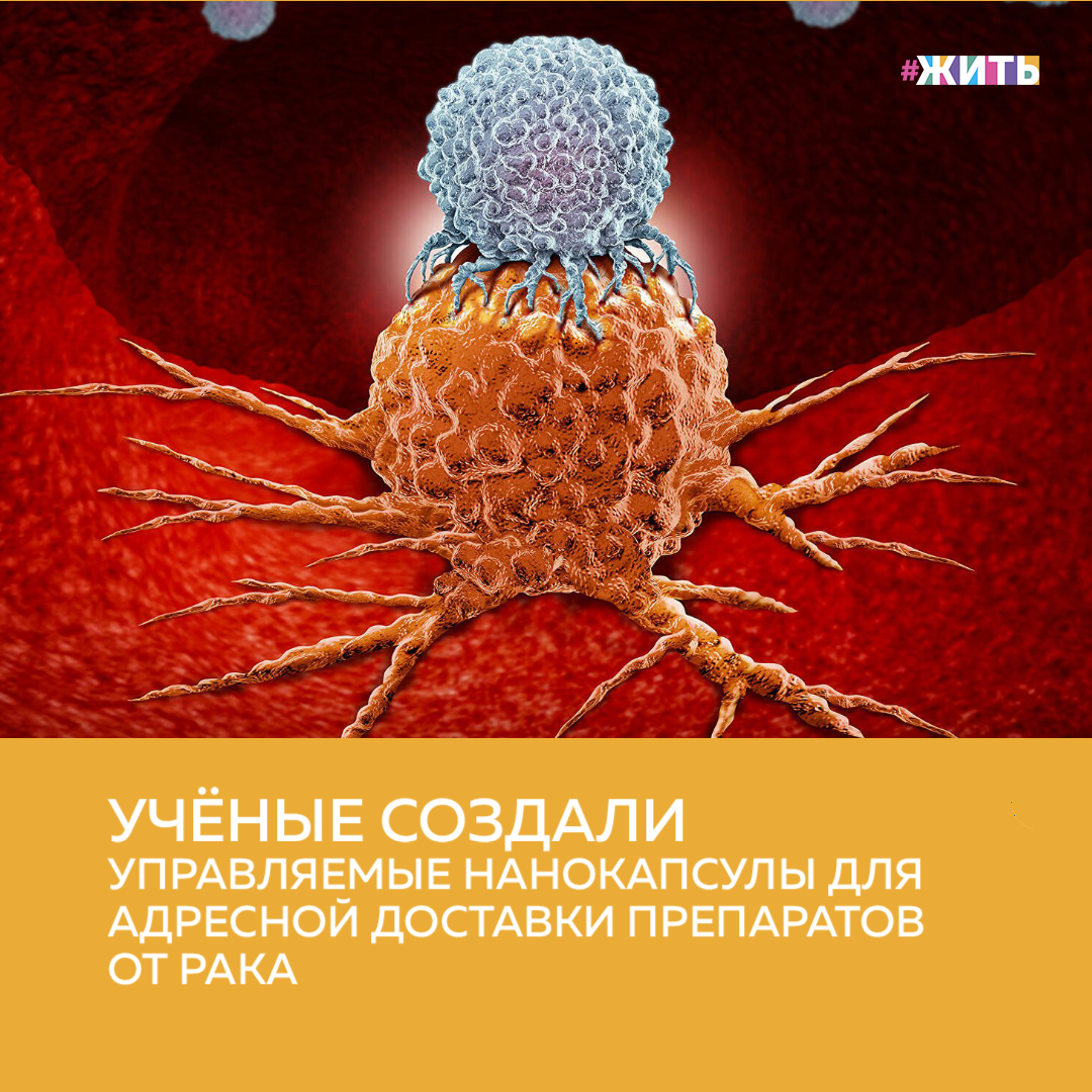 Онкологические заболевания занимают вторую строчку в списке причин смертности в разных странах. Тысячи представителей науки в мире ищут способ лечения этого недуга. Российские ученые предложили свой вариант решения проблемы. Они разработали наночастицы, которые можно при помощи магнитного излучения направлять к опухоли, отслеживать их по уровню флуоресценции и с помощью ультразвука инициировать высвобождение лекарственного препарата по мере необходимости🙌 
Сегодня для лечения онкологических заболеваний используют химиотерапию, иммунотерапию, лучевую терапию и хирургическое вмешательство. Однако ни один из этих методов не обладает необходимой избирательностью. Это означает, что при воздействии на опухоль они затрагивают и здоровые ткани. Кроме того, из-за высокой токсичности для всего организма пациент зачастую с трудом переносит такое лечение.

Исследователи предложили использовать метод фокальной терапии, позволяющей при помощи наночастиц направлять лекарственный препарат точно к опухоли. Данную технологию можно использовать и в диагностических целях в дополнение к методам визуализации.

Для изготовления наночастиц ученые рассмотрели несколько вариантов биосовместимых материалов. В итоге были созданы многофункциональные наноструктурированные частицы, содержащие магнитные наночастицы — флуоресцентные красители Cy5 и Cy7, а также лекарственный препарат доксорубицин. Затем ученые провели лабораторные эксперименты, результаты которых продемонстрировали не только работоспособность предложенного метода, но и высокую точность адресной доставки доксорубицина в печень.

Нанокапсулы направляют на определенные участки опухоли при помощи градиента магнитного излучения, обеспечивая контроль с помощью визуализации высокого разрешения методами МРТ, оптоакустической и флуоресцентной визуализации. Высвобождение лекарственного препарата инициируют при помощи ультразвука. Авторы надеются, что разработанная ими технология будет способствовать повышению точности адресной доставки лекарств при химиотерапии онкологических больных. 

Делитесь этой новостью с друзьями🙏

#жить #проектжить